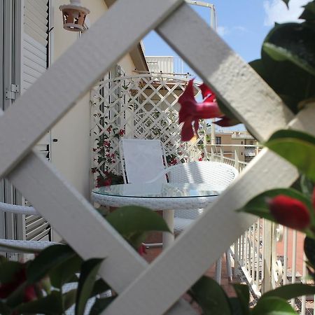 B&B Il Giglio Bianco 소렌토 외부 사진